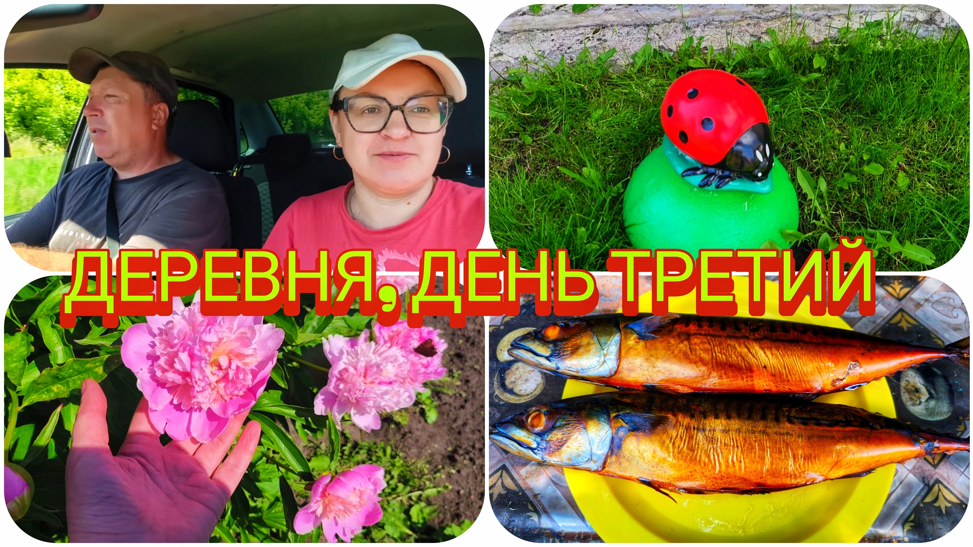 ЗАЧЕМ УЕХАЛИ В ДРУГУЮ ДЕРЕВНЮ❓ 🤔 КОПЧЁНАЯ СКУМБРИЯ 🐟 НА УЖИН 😋