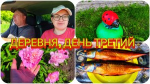ЗАЧЕМ УЕХАЛИ В ДРУГУЮ ДЕРЕВНЮ❓ 🤔 КОПЧЁНАЯ СКУМБРИЯ 🐟 НА УЖИН 😋