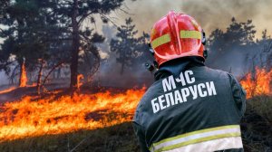 Пожароопасный сезон начался в Беларуси. Спасатели круглосуточно следят за ситуацией в лесах