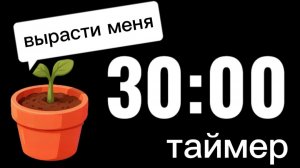 Таймер на 30 минут с растущим цветком