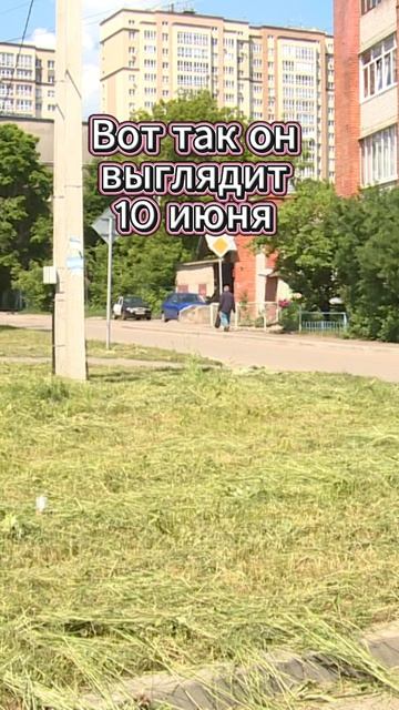 Есть ли жизнь после благоустройства? смотреть онлайн