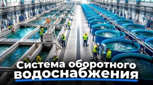 Рыбная ферма за КОПЕЙКИ?! Что такое Система Оборотного Водоснабжения...