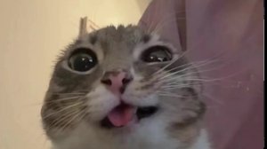 ,,,,,,,,,