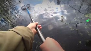Закинула поплавок под камыш...И рыбина завела за куст...Рыбалка на поплавок