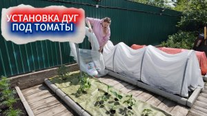 Высадка томатов  в открытый грунт под дуги. Какой надежный укрывной выбрать, зачем взяла цветной?