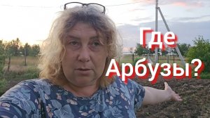 9июня сад в степи-не просто, поэтому я Вяжу пуховые платки