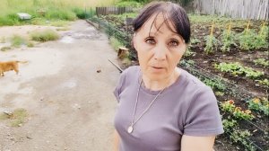 10-06-2026 / НОВЫЕ ЦВЕТЫ ПОСЕЯЛА В ОГОРОДЕ.  МОЙ ЗАКАЗ С ВБ. ГРОЗА И ДОЖДЬ.
