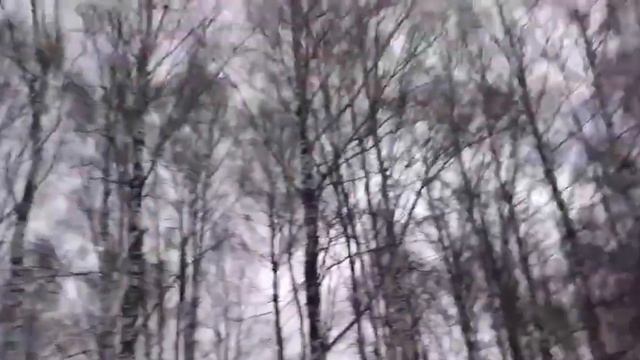 фильм ужасов про зайца часть 2