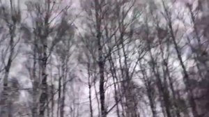 фильм ужасов про зайца часть 2