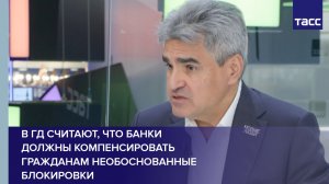 В ГД считают, что банки должны компенсировать гражданам необоснованные блокировки