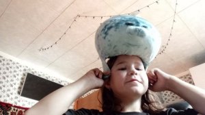 обзор тюленя🦭