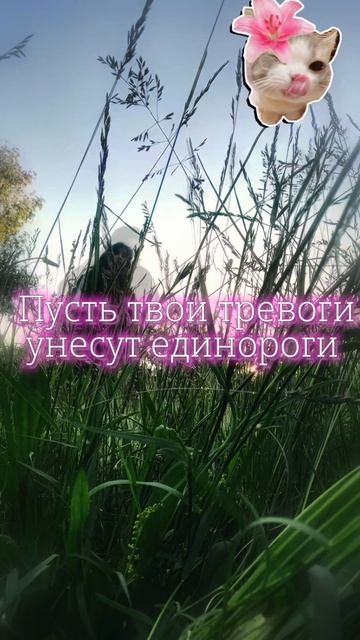 Это знак !!!