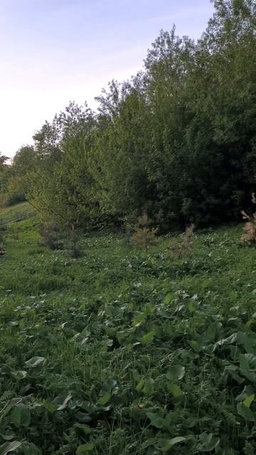 Парк обороны Тулы смотреть онлайн