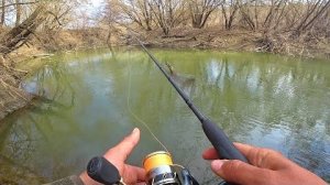РЕЧКА ПО ПОЯС А РЫБЫ АТАКУЮТ! ПРОЛЕЗЛИ В НАСТОЯЩИЕ ДЕБРИ! Рыбалка на спиннинг 2025.