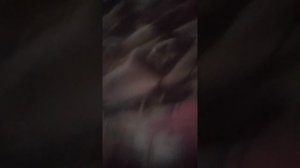 обычная наша УТРО