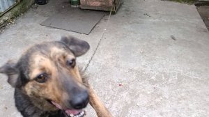 Где хотим там и гуляем