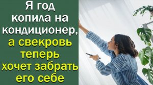Я год копила на кондиционер, а свекровь теперь хочет забрать его