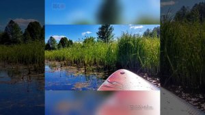 Сапы в реку — лето началось 🌊

Июнь. Жара. Тишина Суворощи.
Самое время встать на доску и пройтись