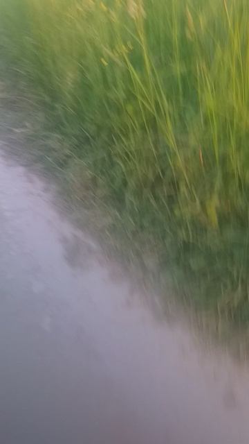 на даче смотреть онлайн