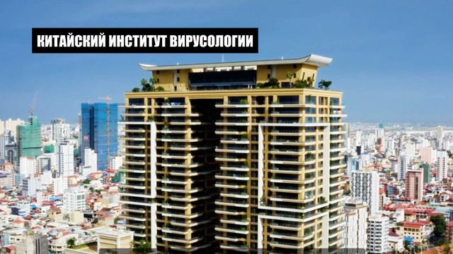 Будущее за дружбой народов – Медиацентр «МедиаКуб» (Санкт-Петербург) смотреть онлайн