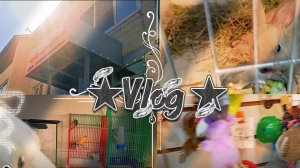 ★Vlog ★Поход в зоомагазин.#пдб