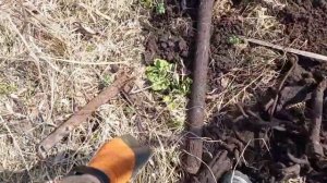 лучший коп в деревне дезилистов