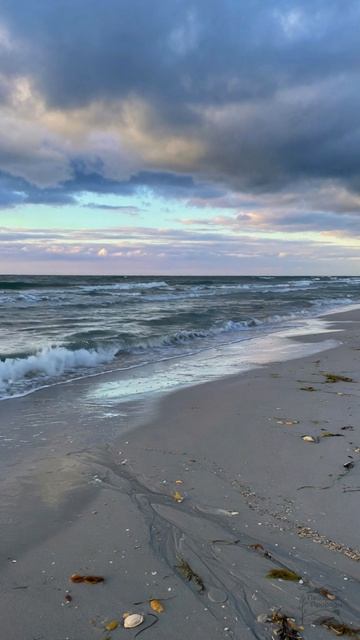 Меланхолия северных морей