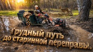 Пробираемся до старинной переправы, нашли там древние монеты.