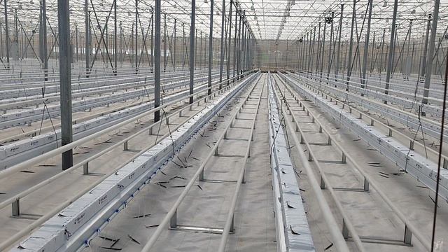в теплице смотреть онлайн