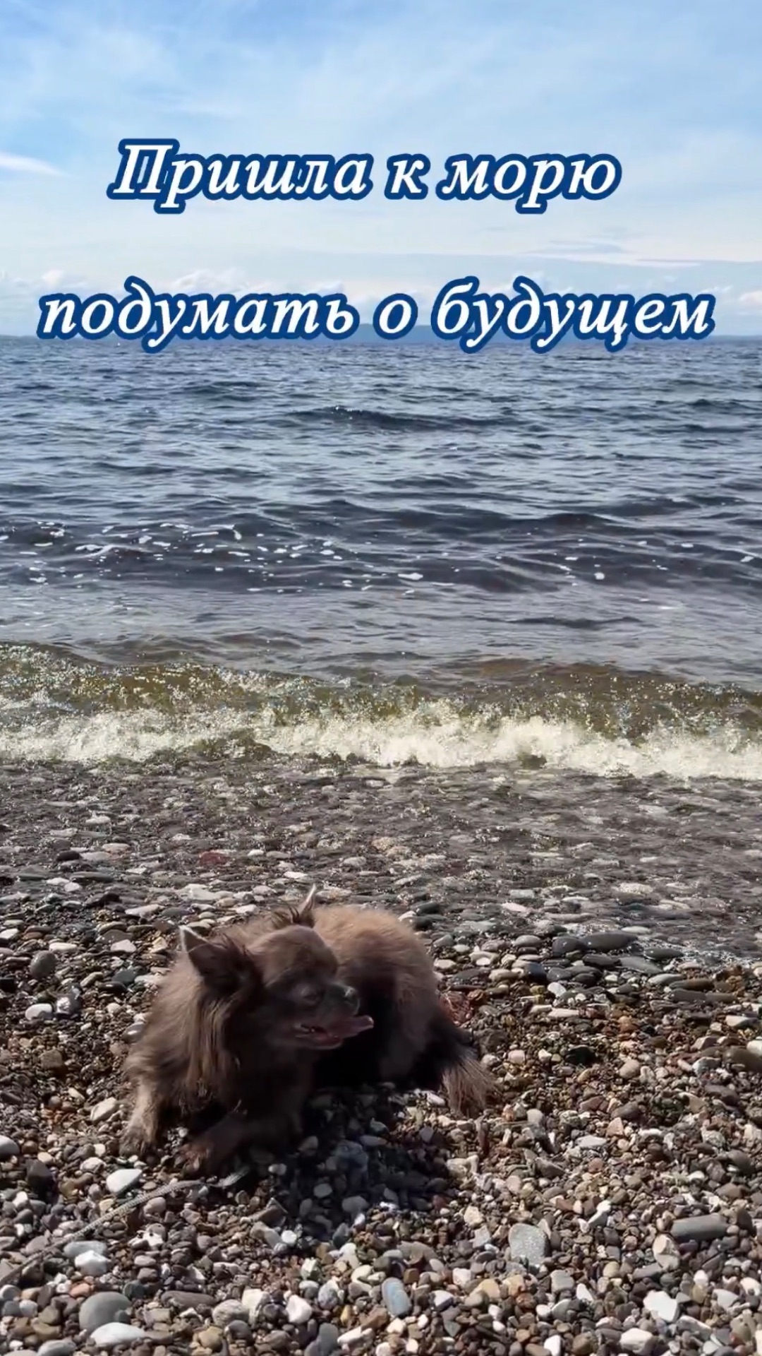 Пришла к морю подумать о будущем...что в конце?