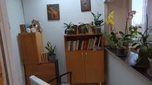 Приехала Машуля 🎉 Дела пошли быстрее