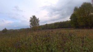 Охота на лося на реву/вабу.