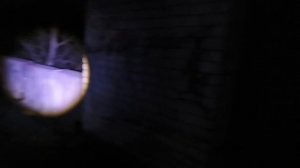 1000031887.mp4