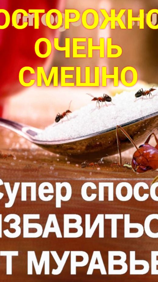 Лучшее средство от Муравьев МЕТЕАРИЗМ !!