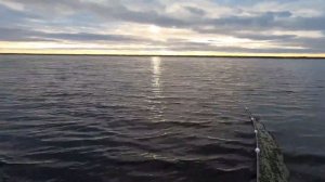 Ловля Неводом. Трофейный Сиг...