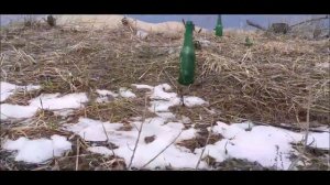 испытываю рогатку на пробиваемость о стекло часть 19