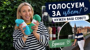 Голосуем за цвет для футболки. Путешествие в Брюгге