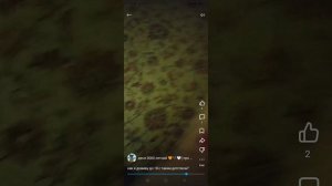обзор на деня 3000