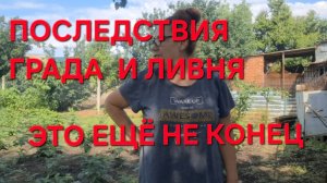1288 Последствия Града на Кубани. Это ещё не конец.Ждём новую волну.