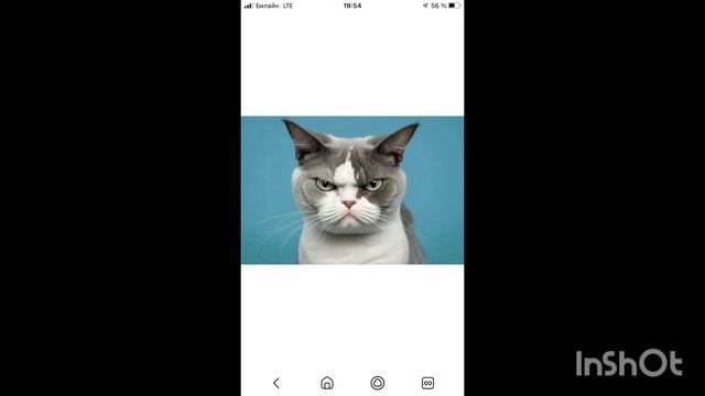 мдааааааааааааааа смотреть онлайн