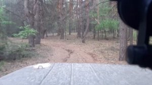 Прогулка по лесу на уазе 469👈