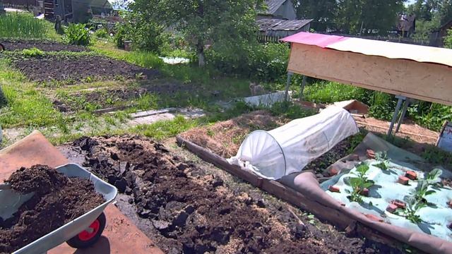 Восстановление плодородия земли