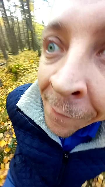 лучок смотреть онлайн