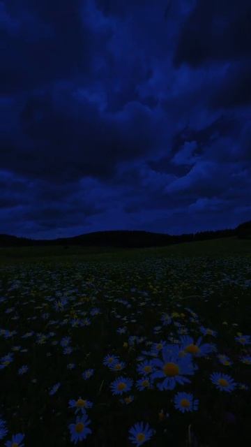 Природа