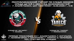 13.06.2026г., ХК «АК БАРС» (г. Казань) - ХК «ТАНЕКО» (г. Нижнекамск)
