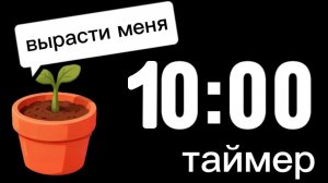 Таймер на 10 минут с растущим цветком