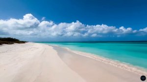 Tropical Chill 🌴 - Paradise Vibes and Waves - Beach Music