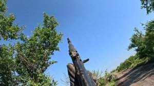 От братишки Воробья