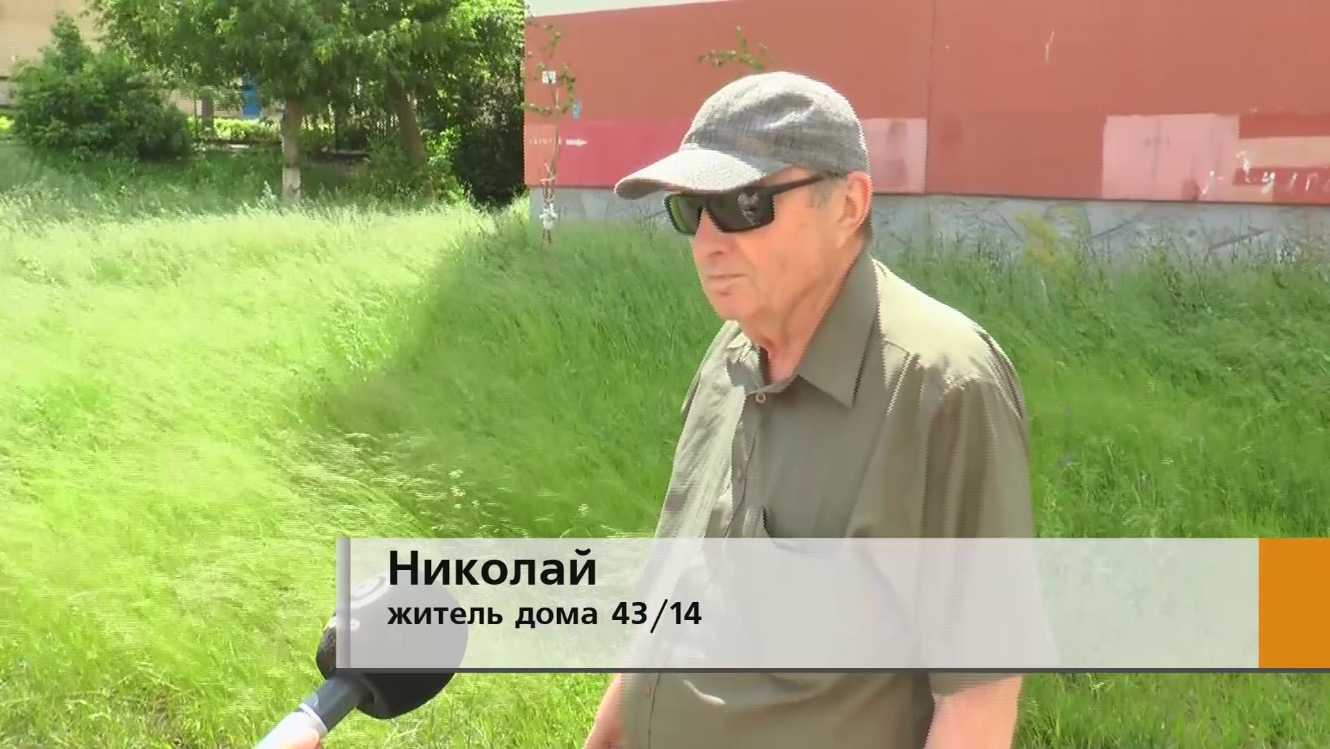 Трава колосится на ветру, почти уже доросла до окон первых этажей