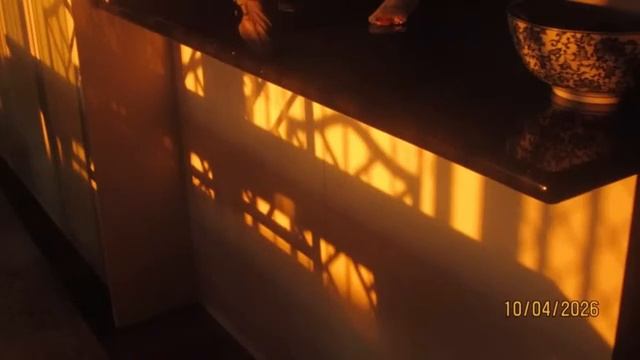 однажды всё это станет старыми воспоминаниями[lofi]